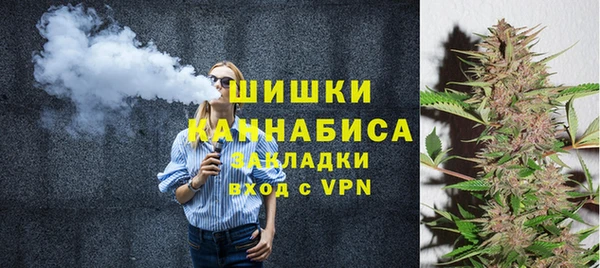 сатива Богородицк