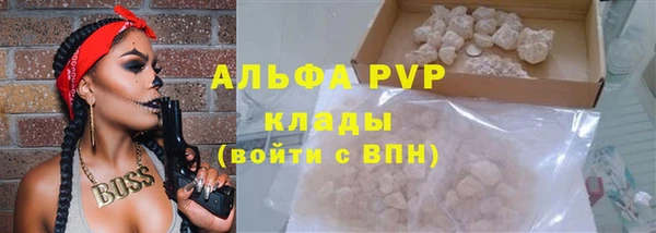 сатива Богородицк