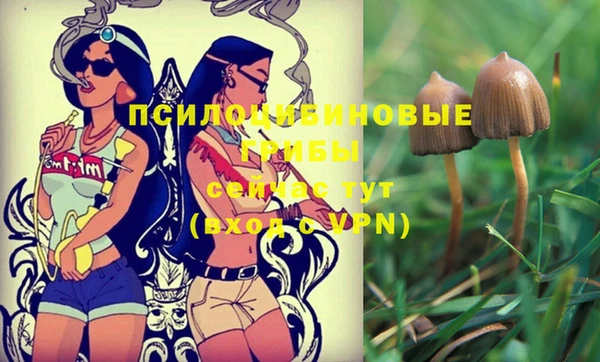 сатива Богородицк